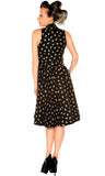 Folter Dress Golden Sparrow Retro Wrap Swing Dress Folter