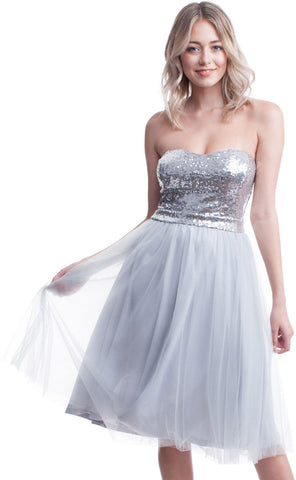Silver fairy dress